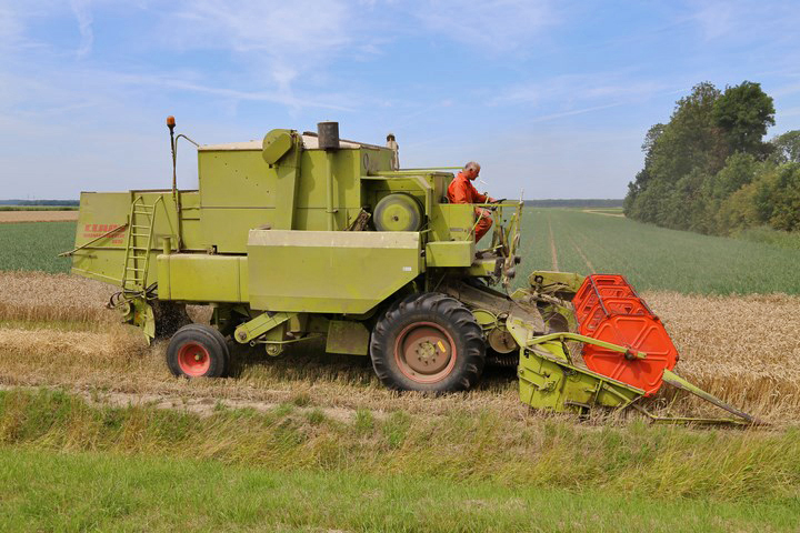 foto